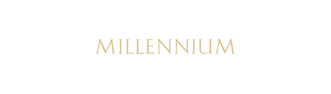 Millennium Development Logo
